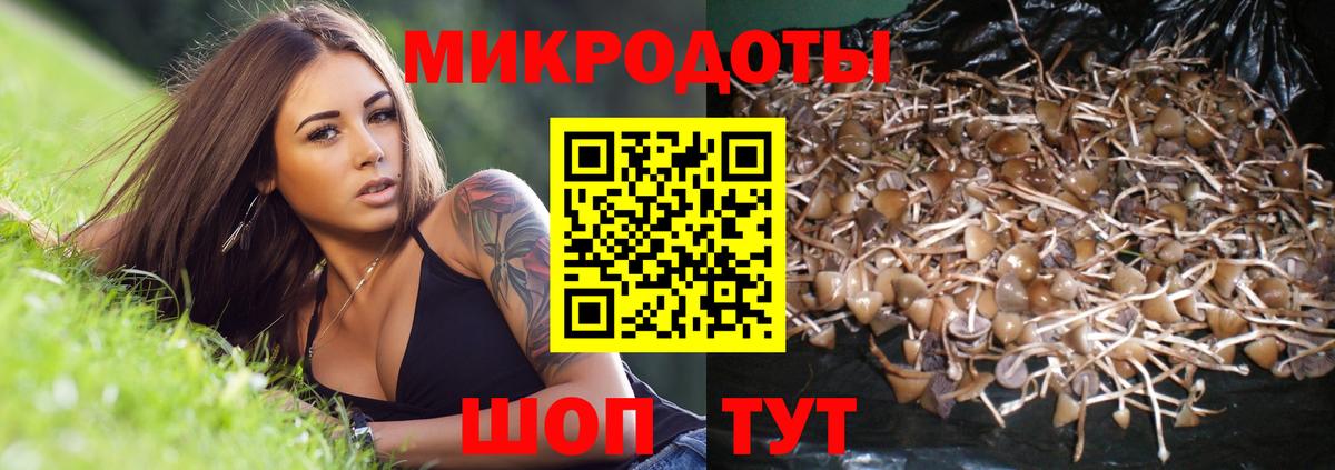 где найти   Вход с VPN  Георгиевск  Псилоцибиновые грибы мухоморы 